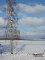 /album/fotogallerij/samsjon-in-de-winter-jpg/
